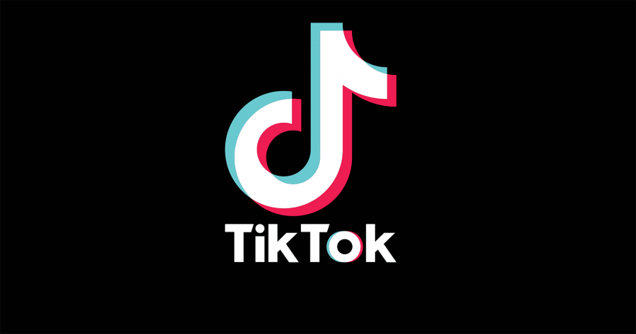 The Best TikTok Trends (Ranked)