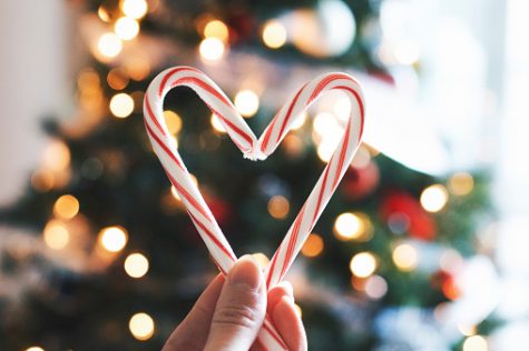 Focus is on a pair of candy canes as a human hand holds them up to form a heart.  There is a lighted Christmas tree in the background.