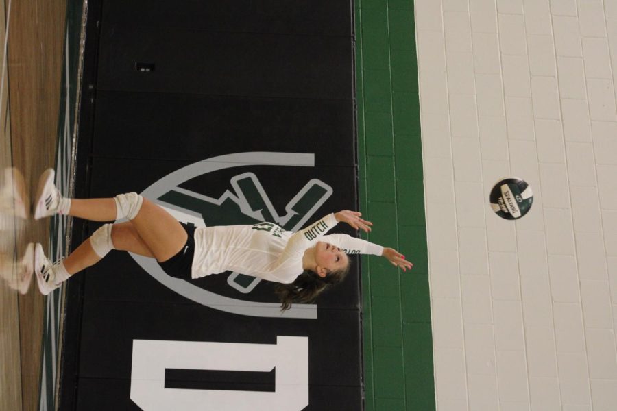 Abby Warner serves the ball against the cardinals. 