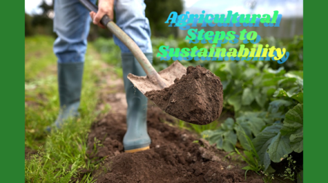 Agricultural Steps to Sustainability