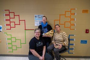 March Mammal Madness